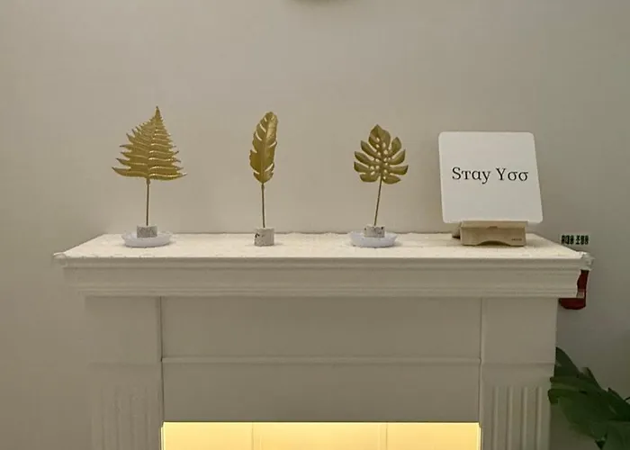 홍대 Yoo