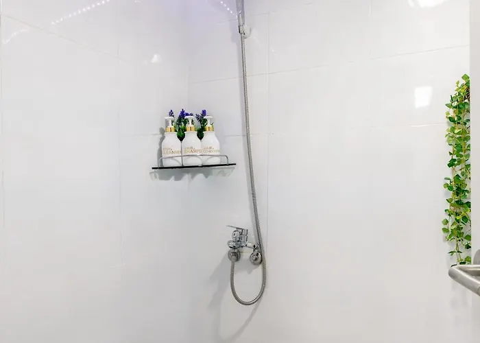 홍대 Yoo 서울특별시